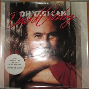 david crosby yes i can rare 1989 promo poster - byrds neil young deja vu hippie